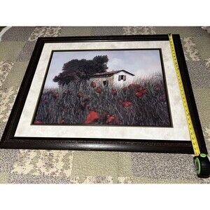 The House By Guido Borrelli